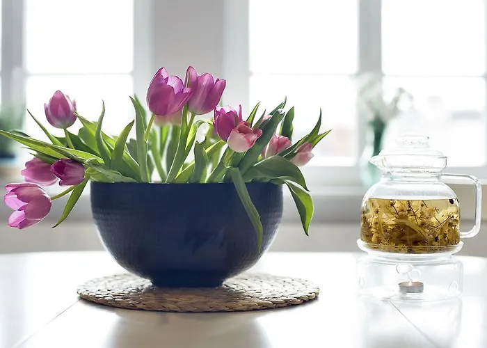 Everysky - Centrum *